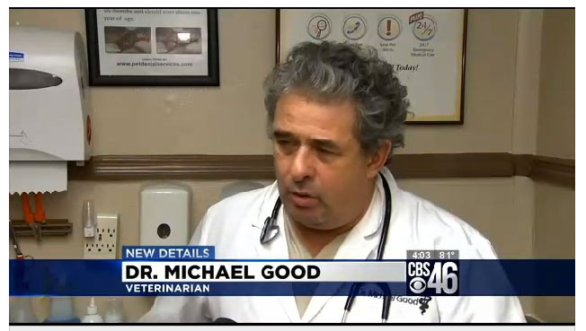 Dr. Michael Good in the news for rescuing puppies.