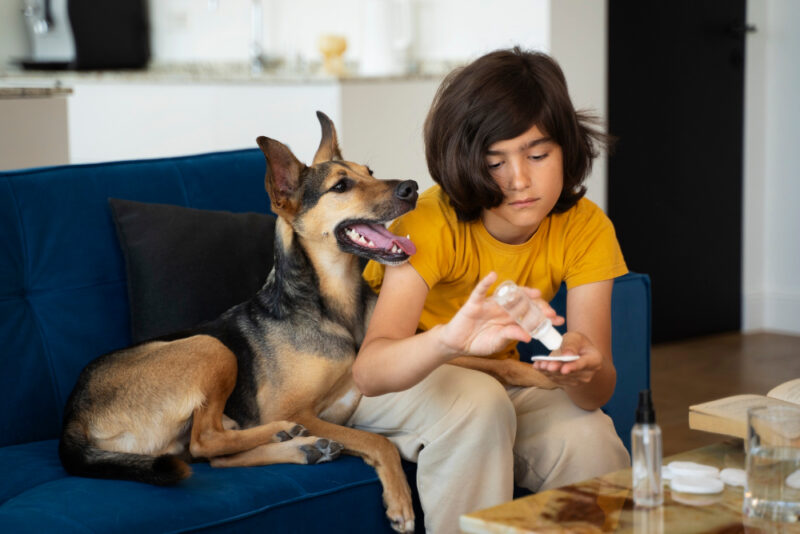 Alternative Treatment Options for Dog