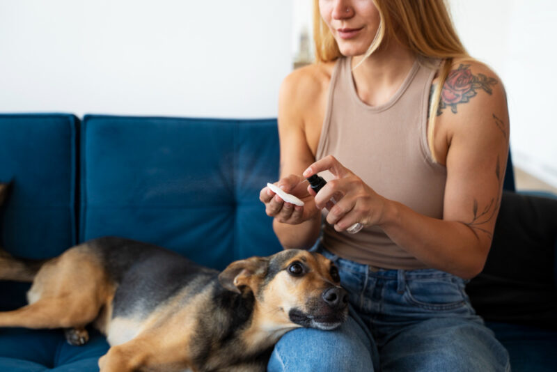 Can You Give a Human Xanax To Your Dog
