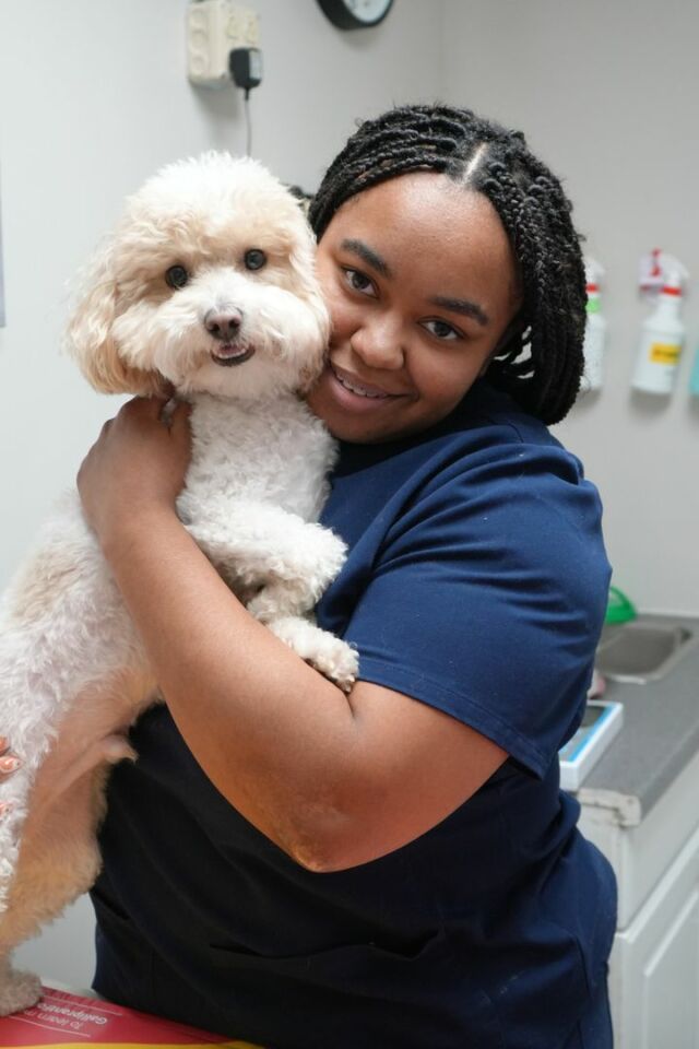 Meet Nicole and her adorable pup, Panda! 🐶💖 

One of the best perks of working at a vet office? Bringing your furry friend to work! 🏢✨

There's nothing like having your pet by your side while you care for other animals. It makes every day a little brighter!

Book Your Pets Appointment 👉 [https://beyondpets.com/]

#BeyondPetsAnimalHospital #VetLife #PetsAtWork #NicoleAndPanda #FurryFriends #PetLove #VetMed